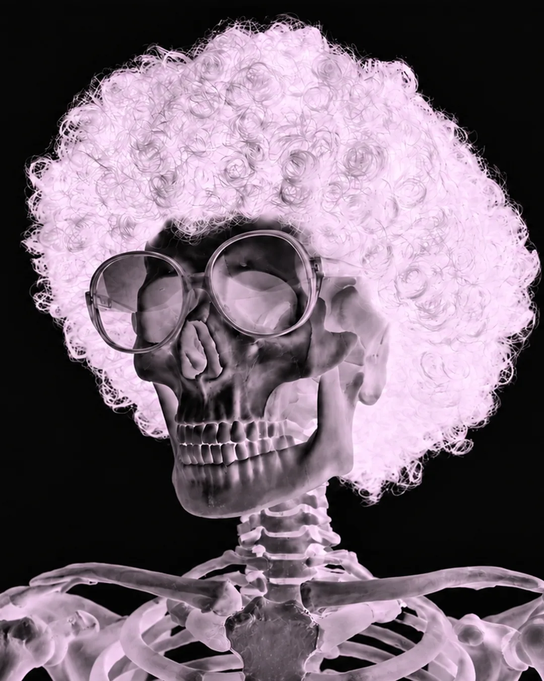 Skeleton wearing round sunglasses and a voluminous pink afro wig against a black background.